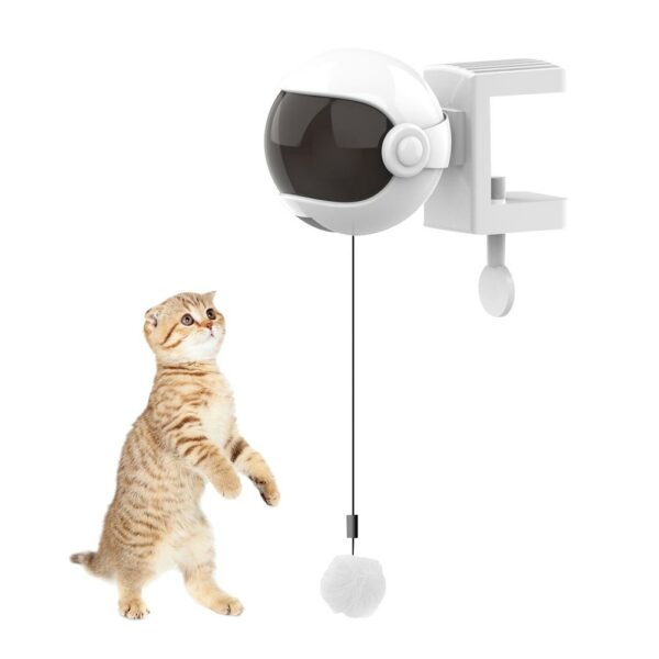 Electric Motion Cat Toy