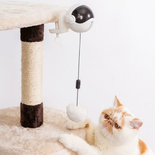 Electric Motion Cat Toy
